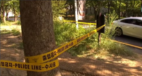 토막살인 시신이 발견된 서울대공원 인근 수풀. /유튜브