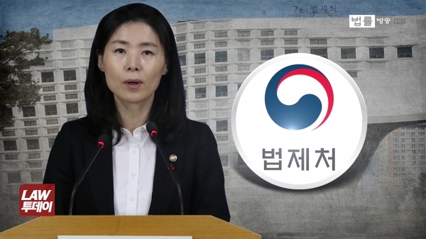 지난 28일 '적극행정 가이드라인'을 국무회의에 보고한 김외숙 법제처장.