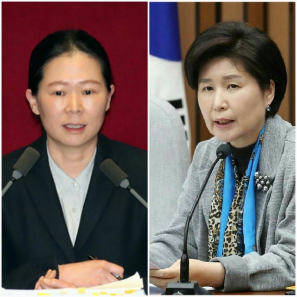 권은희(왼쪽) 바른미래당 의원, 백혜련 더불어민주당 의원.