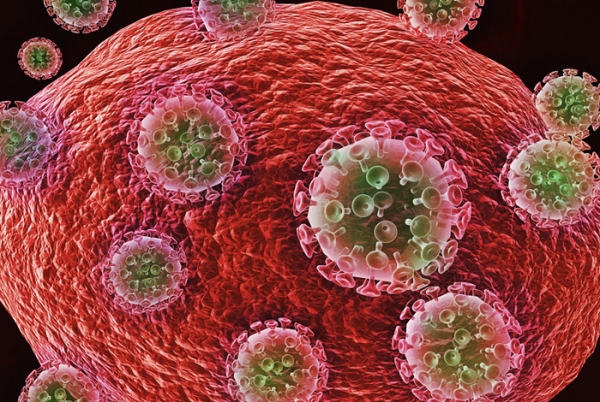 인체면역결핍 바이러스 HIV. /인터넷 캡처
