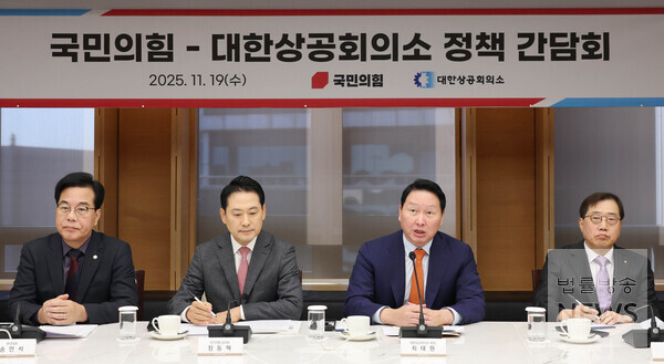 최태원 대한상의 회장이 19일 서울 중구 대한상의 챔버라운지에서 열린 국민의힘과의 정책 간담회에서 인사말을 하고 있다. /대한상의